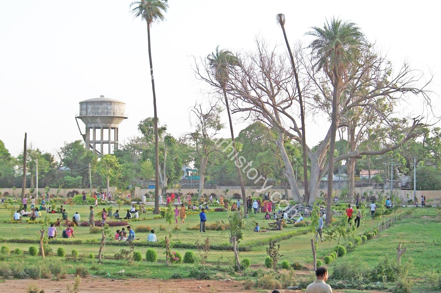 Gardens